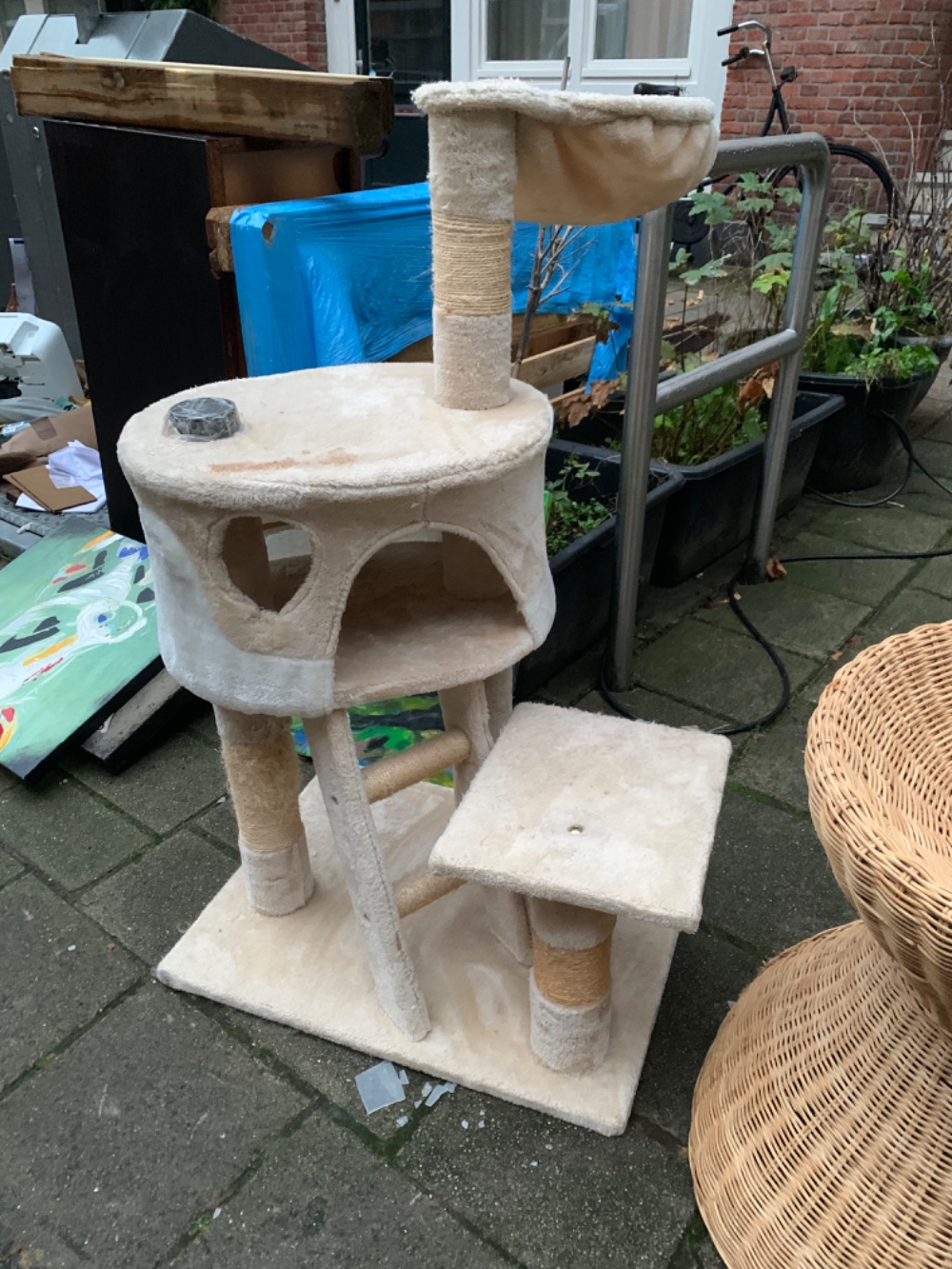 A cat house photo 2