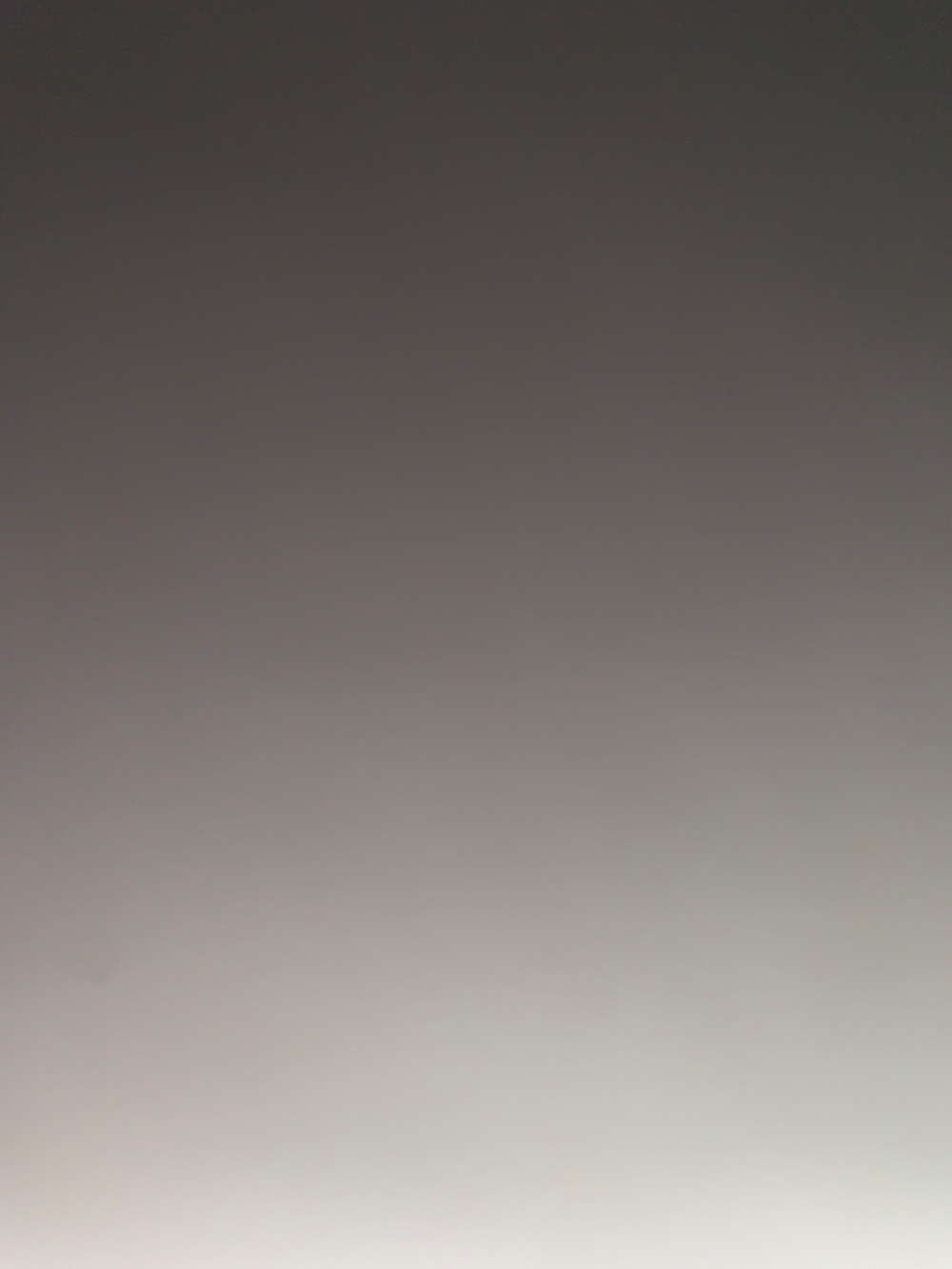 Lizzy Ansinghstraat 88, Amsterdam