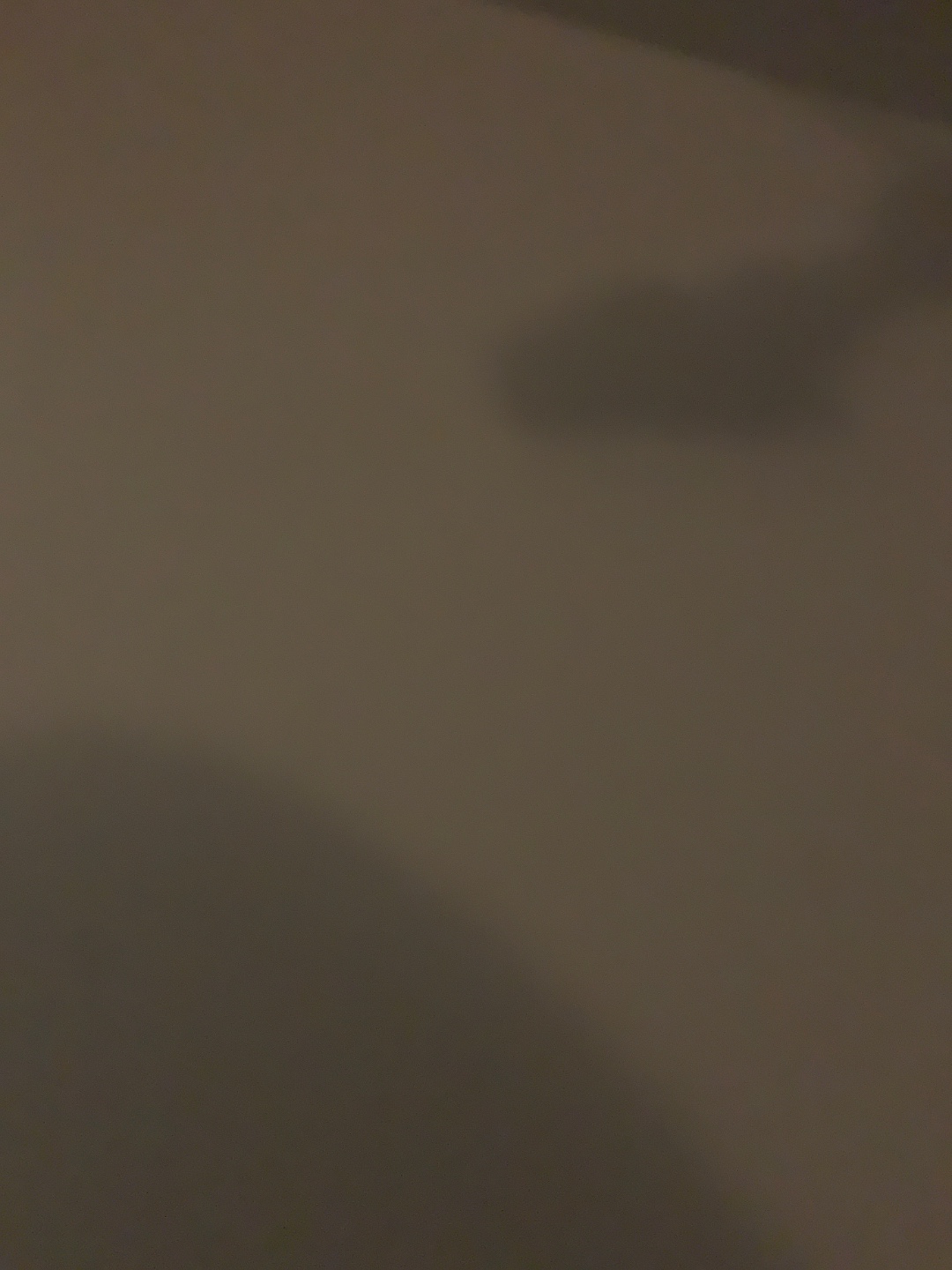 Gerard Terborgstraat, Amsterdam