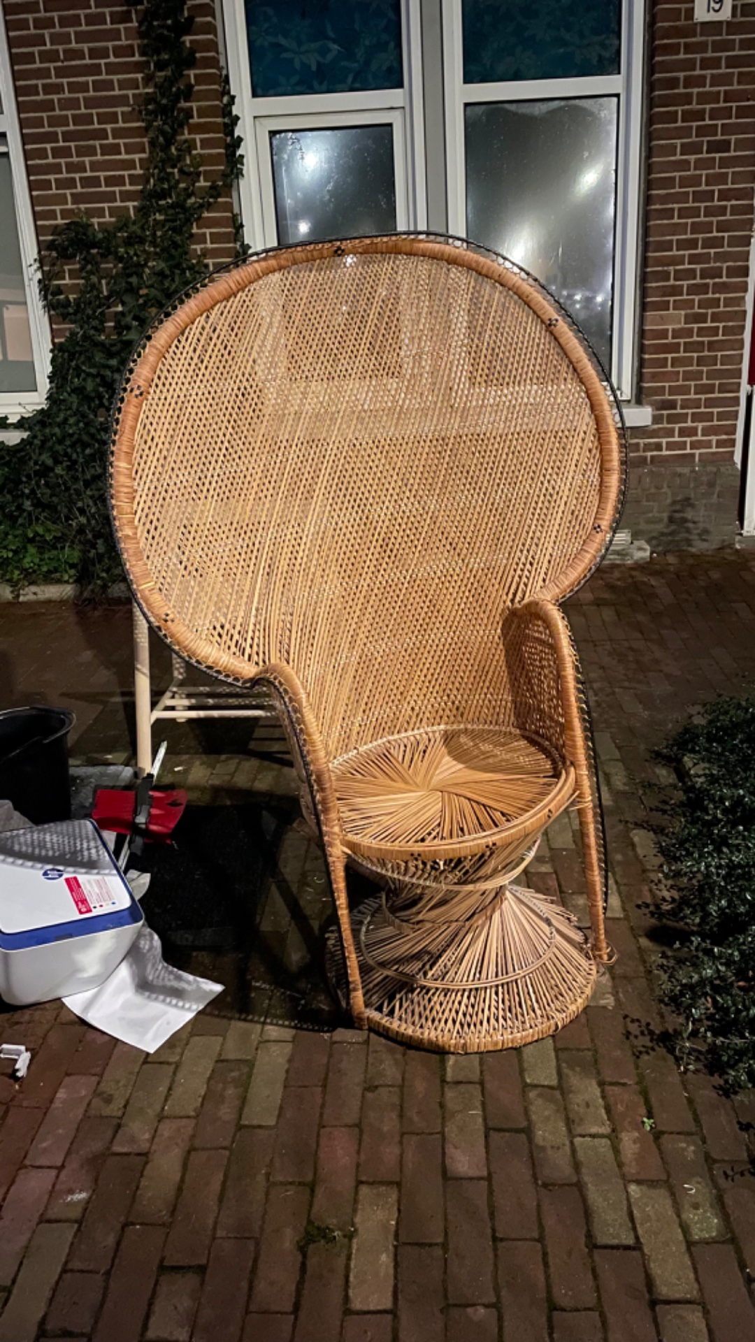 Peacock chair