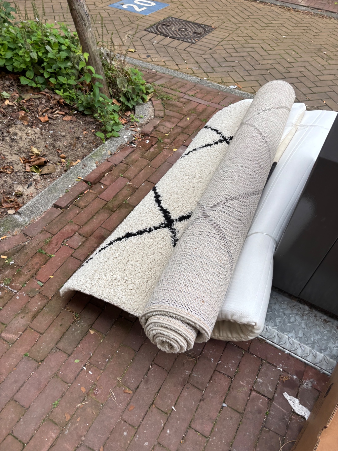 Large rug / carpet