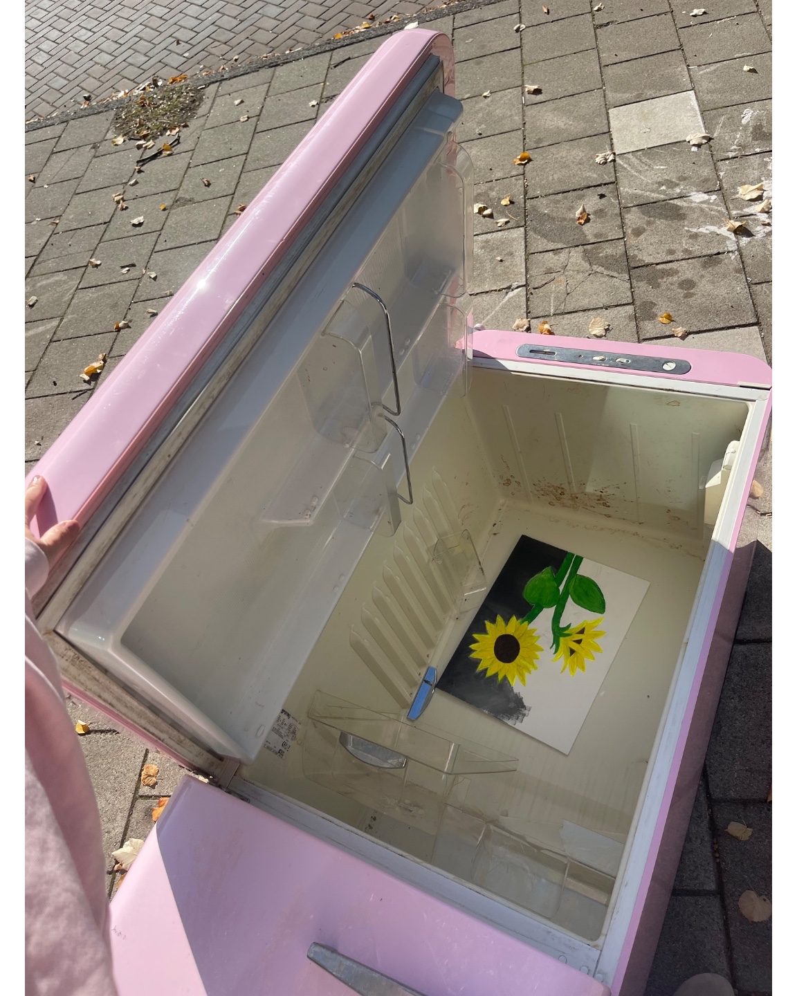 Grote SMEG ijskast, schoon van binnen, weet niet of hij nog werkt photo 3