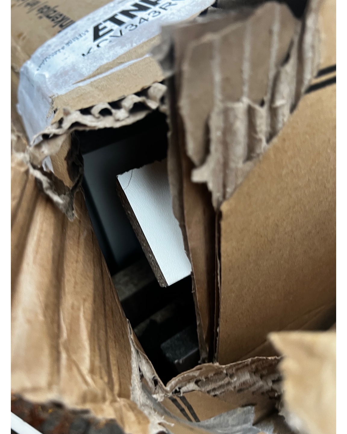 Pressed wood, also in box (did not open fully because of rain) photo 2
