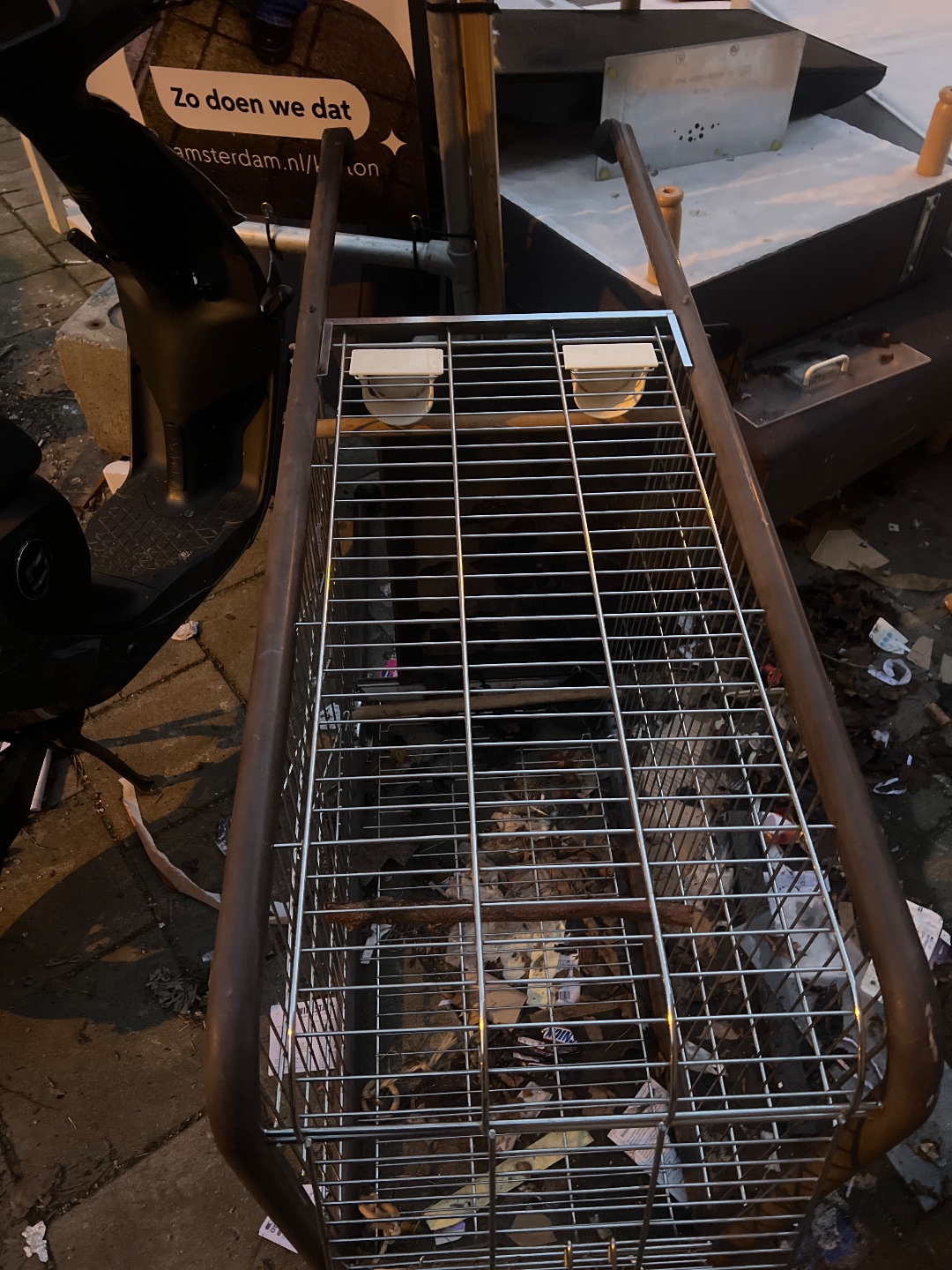 big cage for birds, solid cagefloor and on wheels photo 3