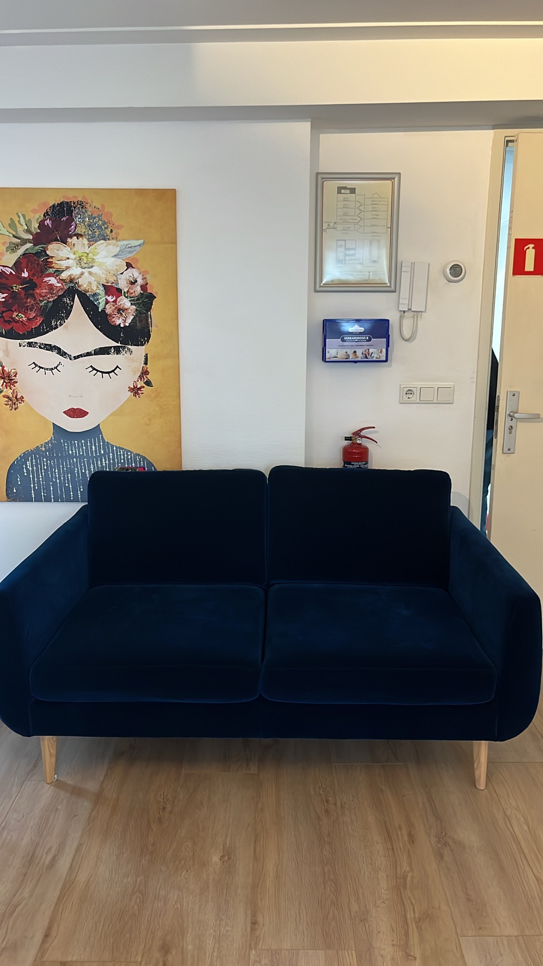 2 couches, blue velours material