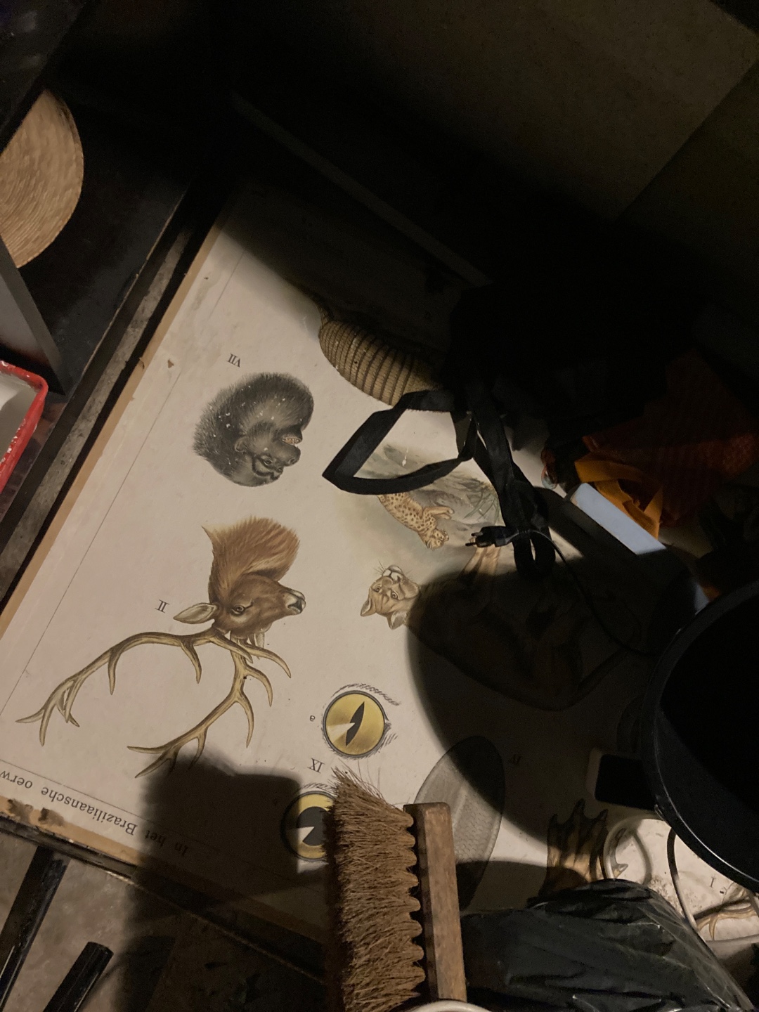 Item found on Amsterdam, Rijnbuurt, Uiterwaardenstraat 100 photo 2