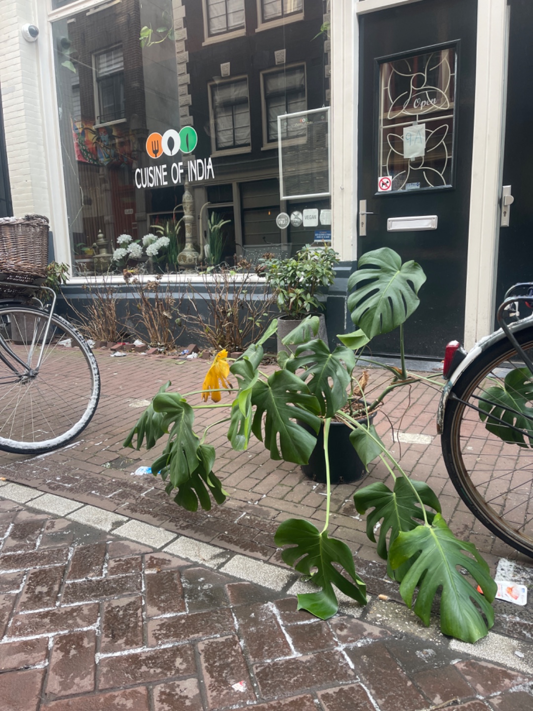 Red mij voor de avond anders ga ik dood photo 1