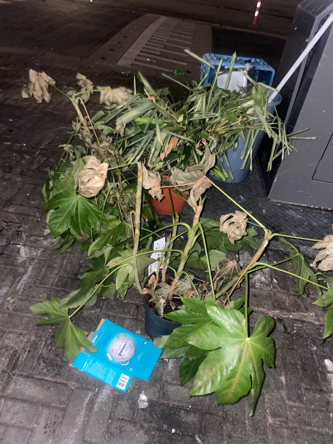 Item found on Amsterdam, Bijlmer Oost, Kikkenstein 1201 photo 1