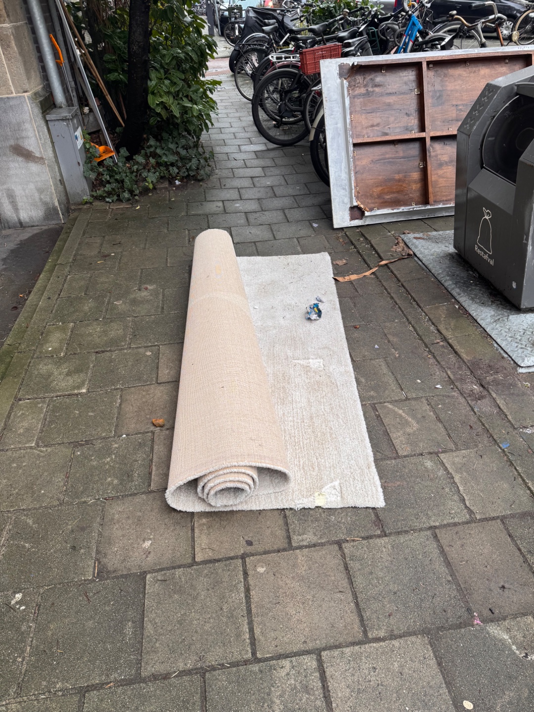 Mooi groot tappijt geen vlekken zover te zien is photo 1