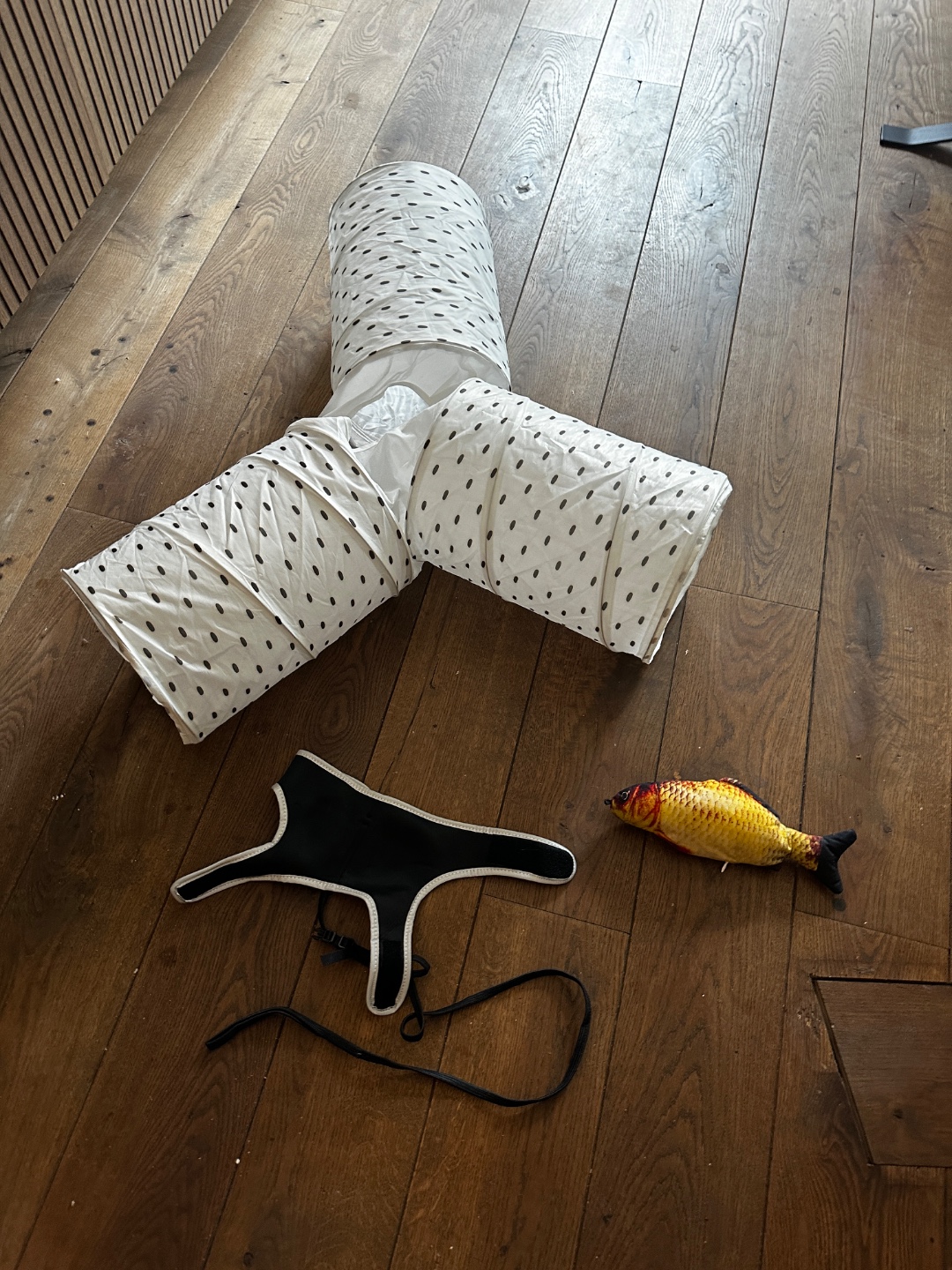 Kattentunnel, tuigje en speeltje - om op te halen photo 1