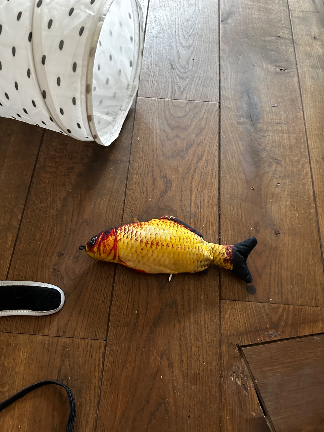 Kattentunnel, tuigje en speeltje - om op te halen photo 2