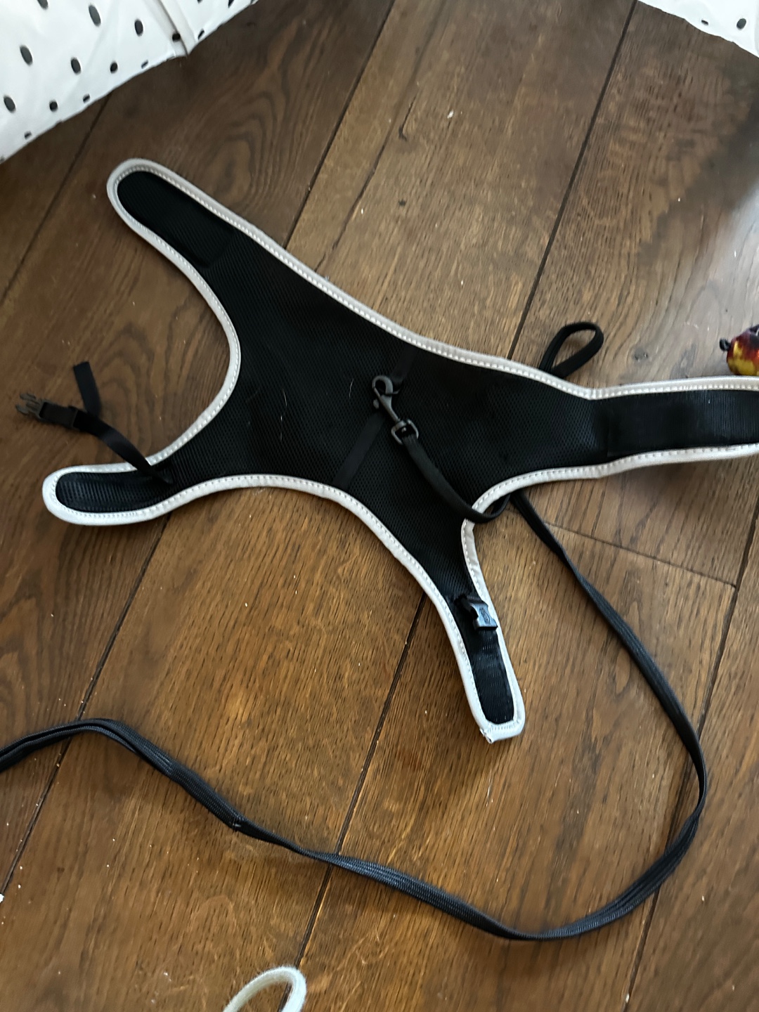 Kattentunnel, tuigje en speeltje - om op te halen photo 3