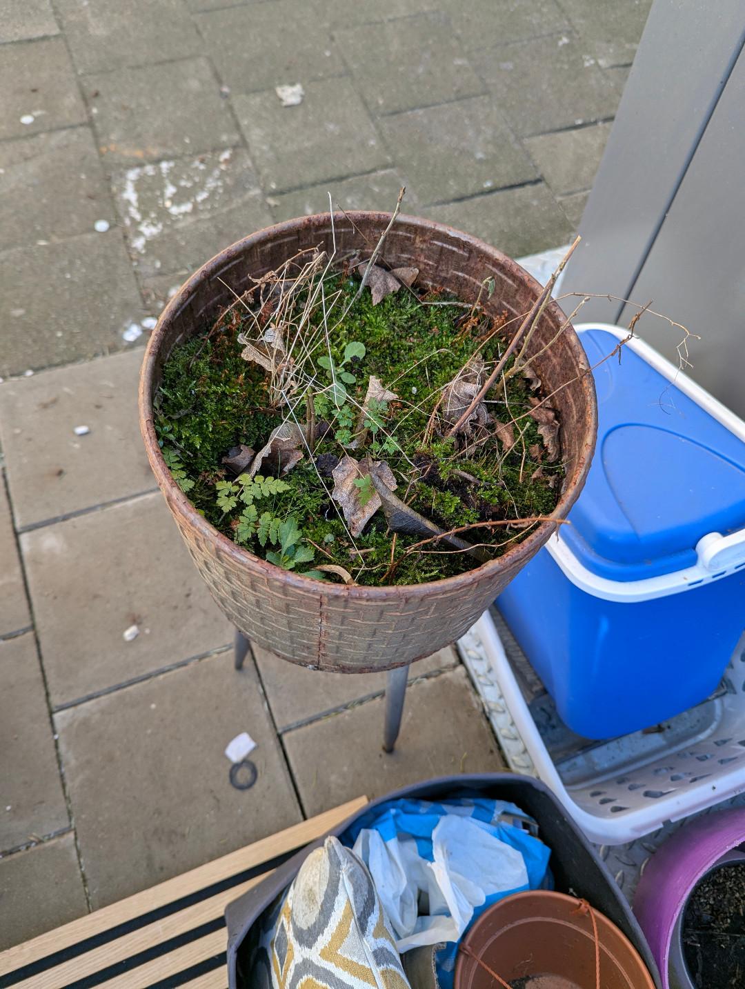 Lots of pots and balcony things photo 3