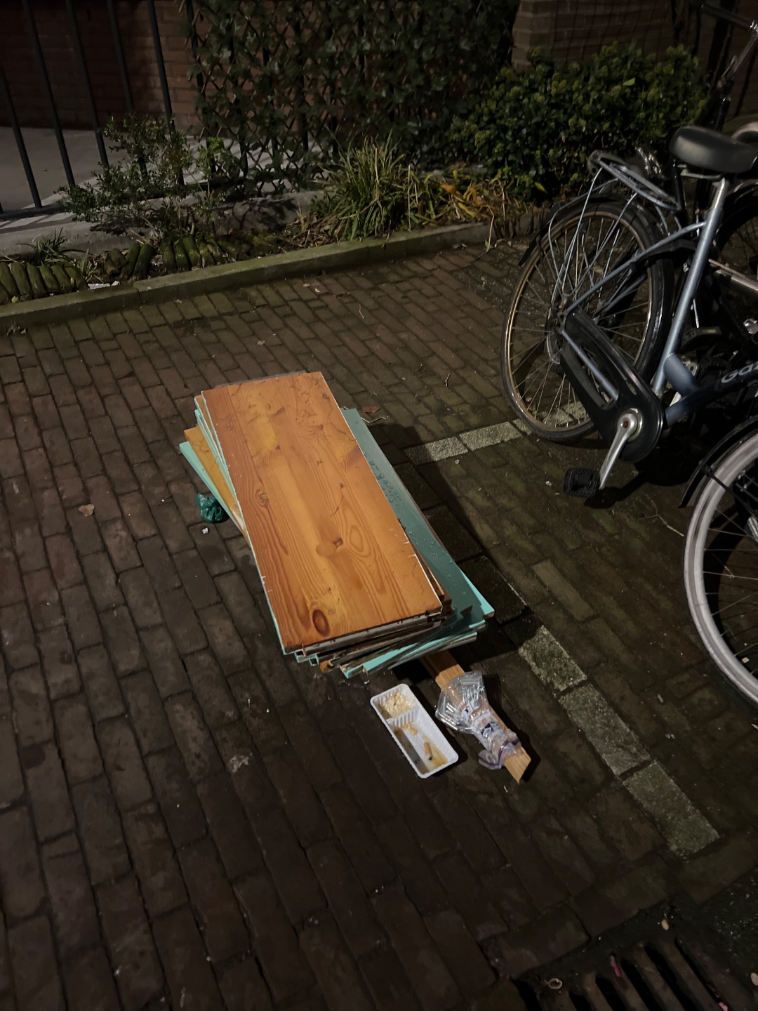 Lundia (?) shelf photo 1