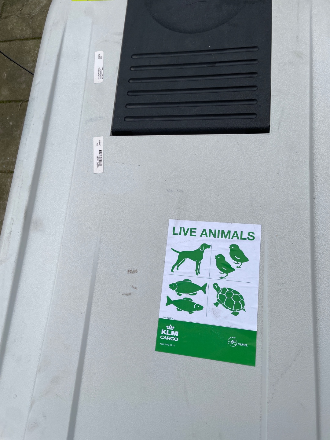 Grote flight diervervoer klm en doos plastic spullen voor kinderen *not mine* maar kostbare bench!