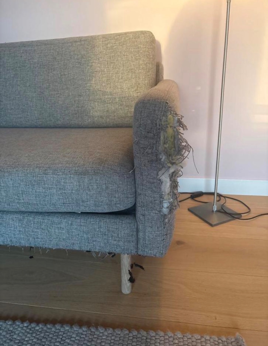 Bolia Scandinavia couch, eaten by cats.