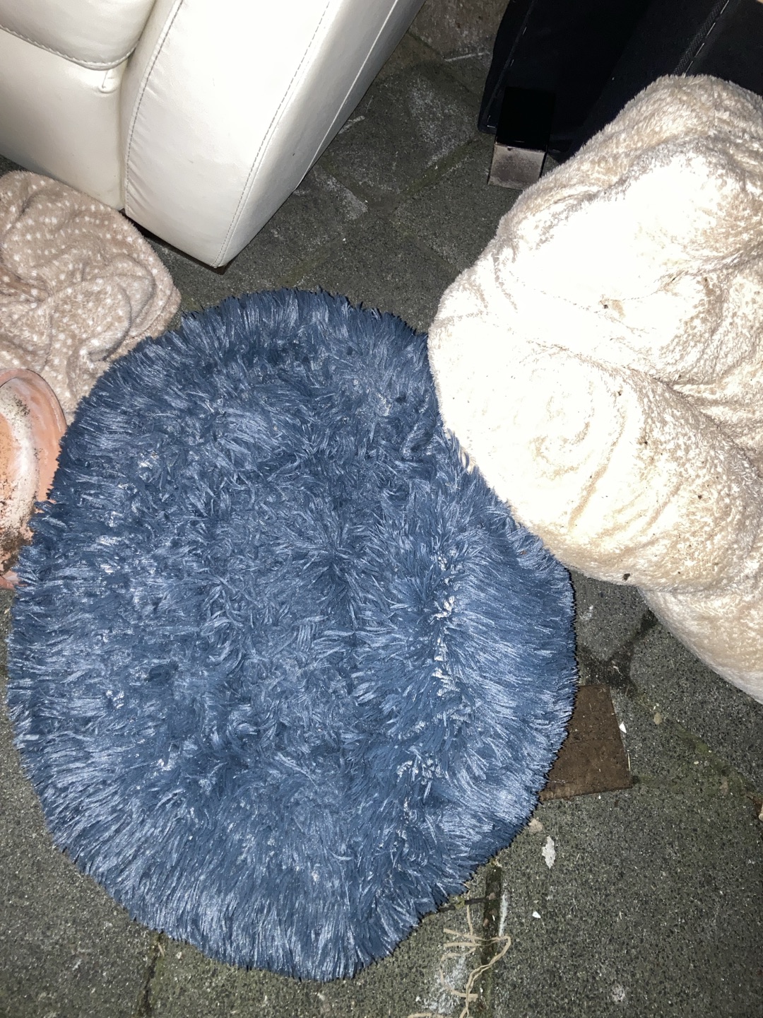 For the pets 😺🐶