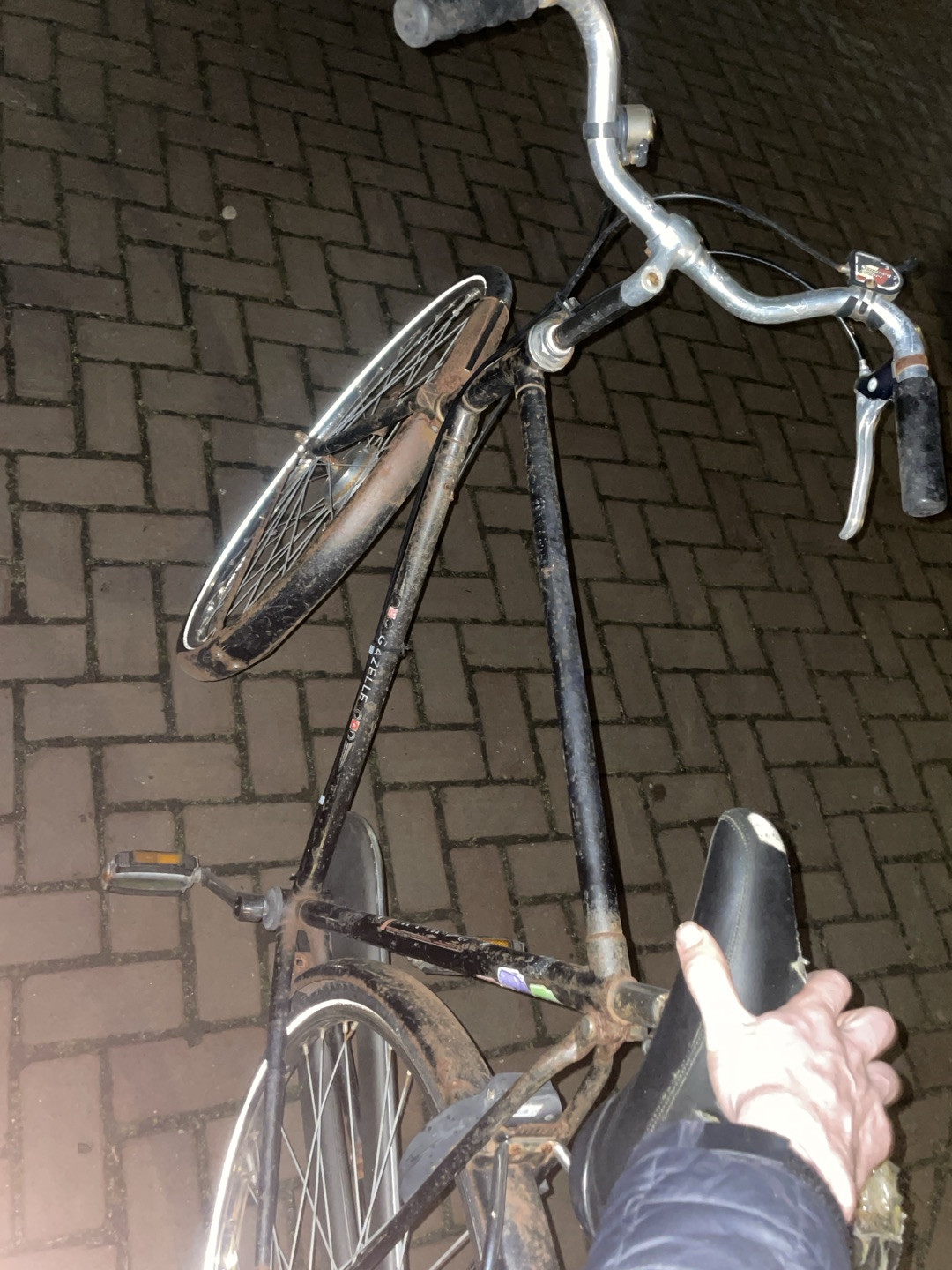 Gazelle bike
Everything working except for a flat tire and a sadle which is a bit drippy💧💦