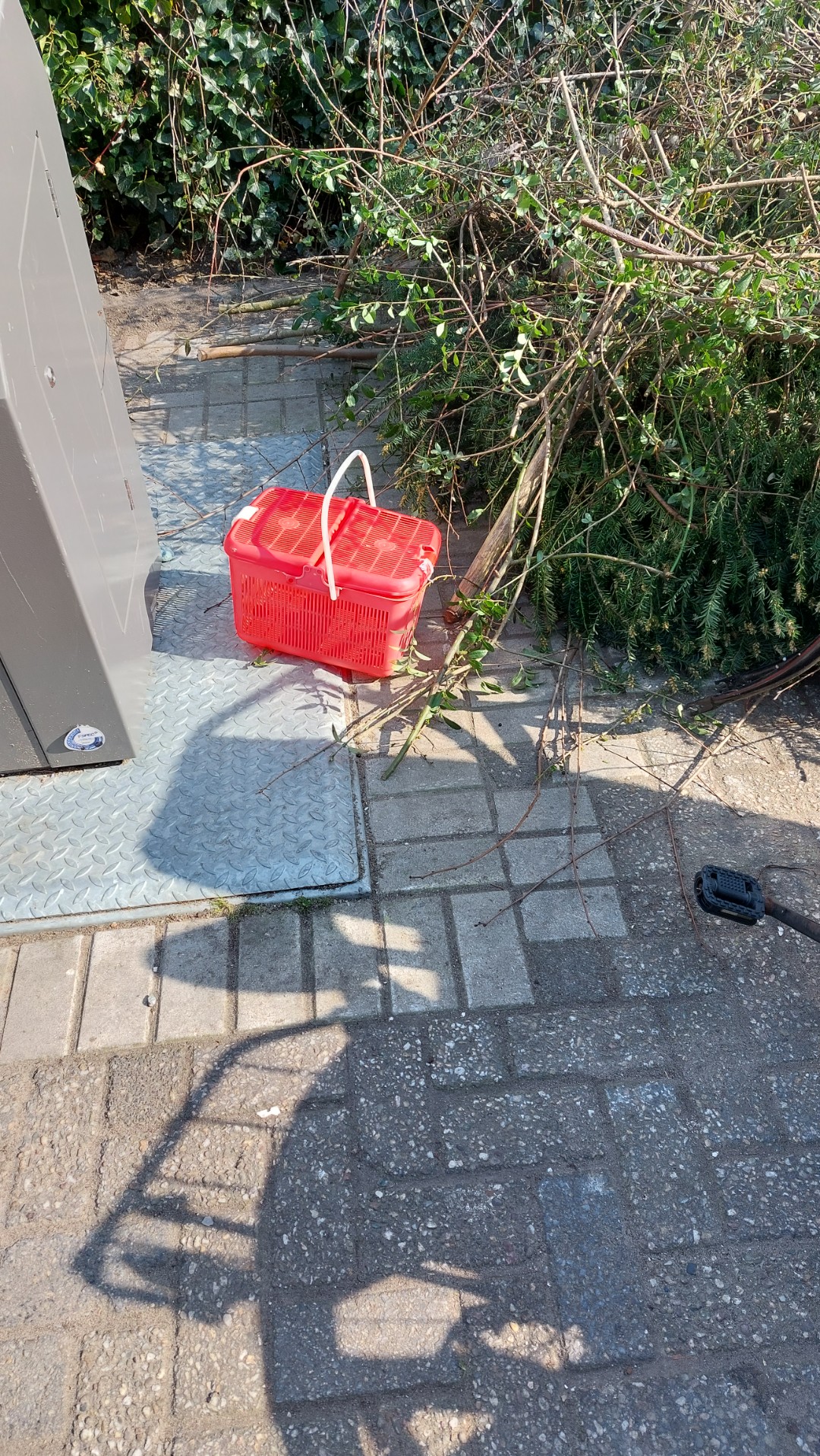 Handhaving net geweest dus zal snel weg zij