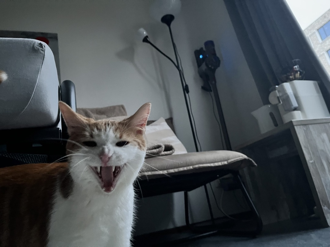 Amsterdam, Oost, Kees Broekmanstraat 454