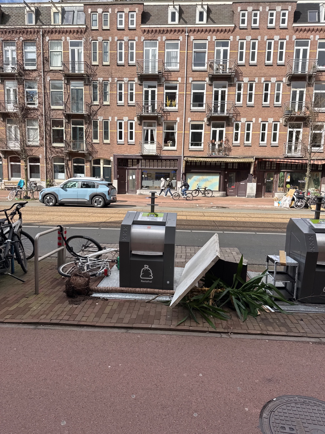 Huge plant, 2 meters and looks healthy! 1