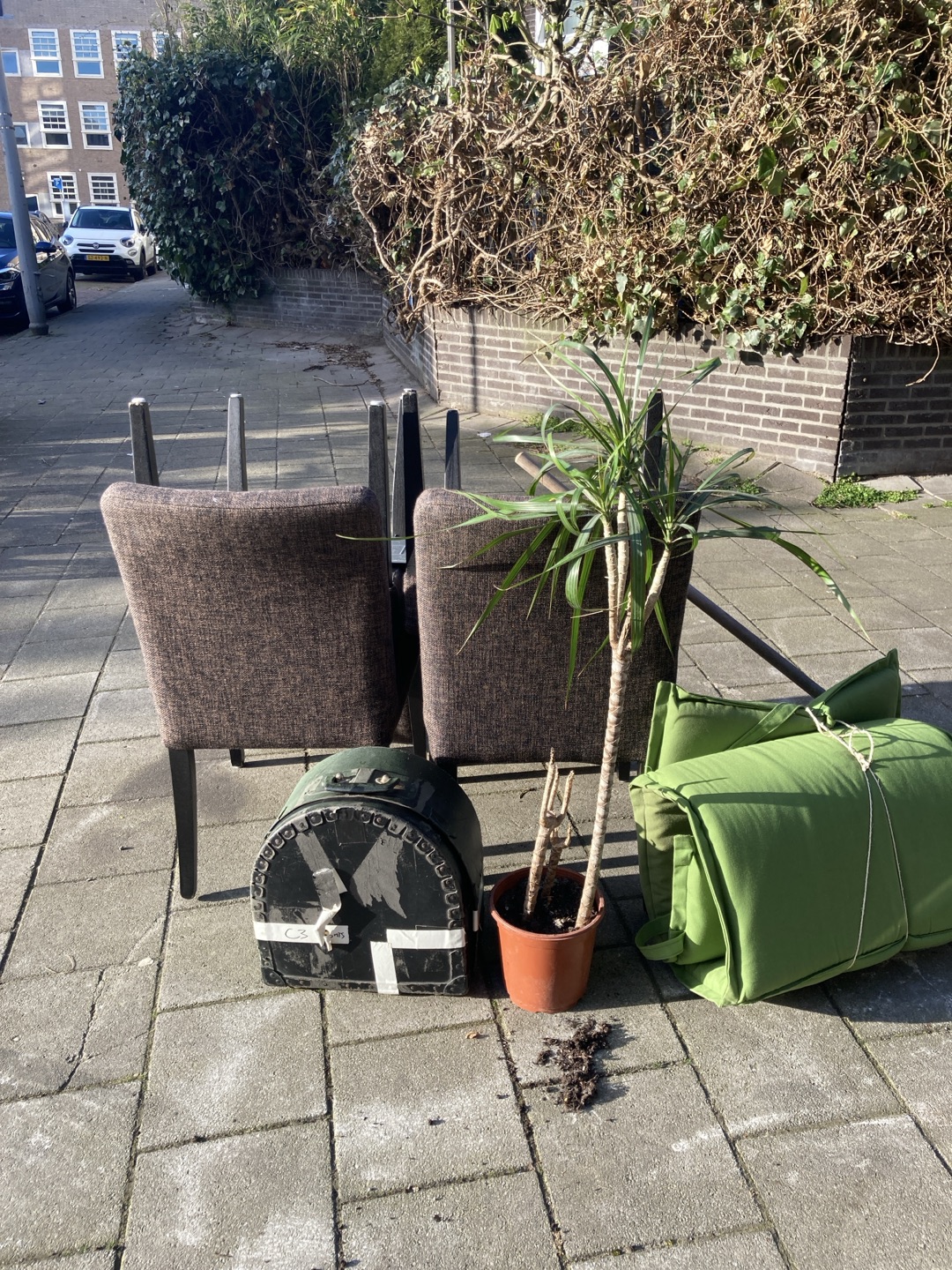 Looking for a new home! 1