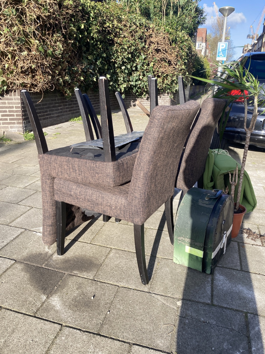 Looking for a new home! 2