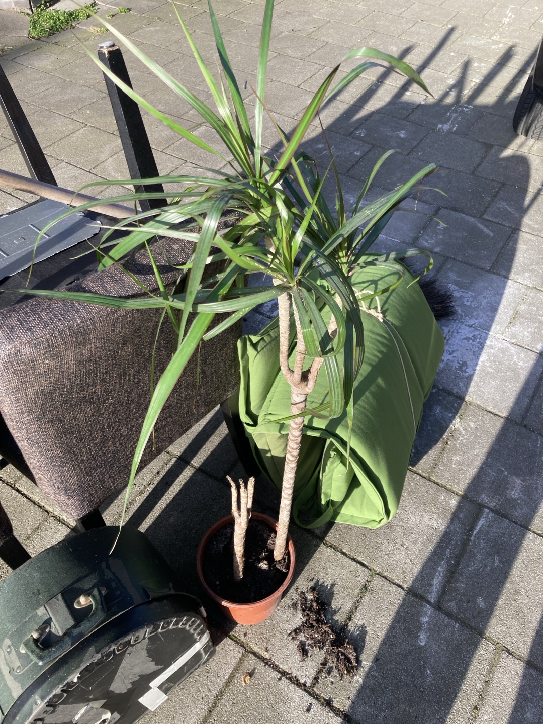 Looking for a new home! 3