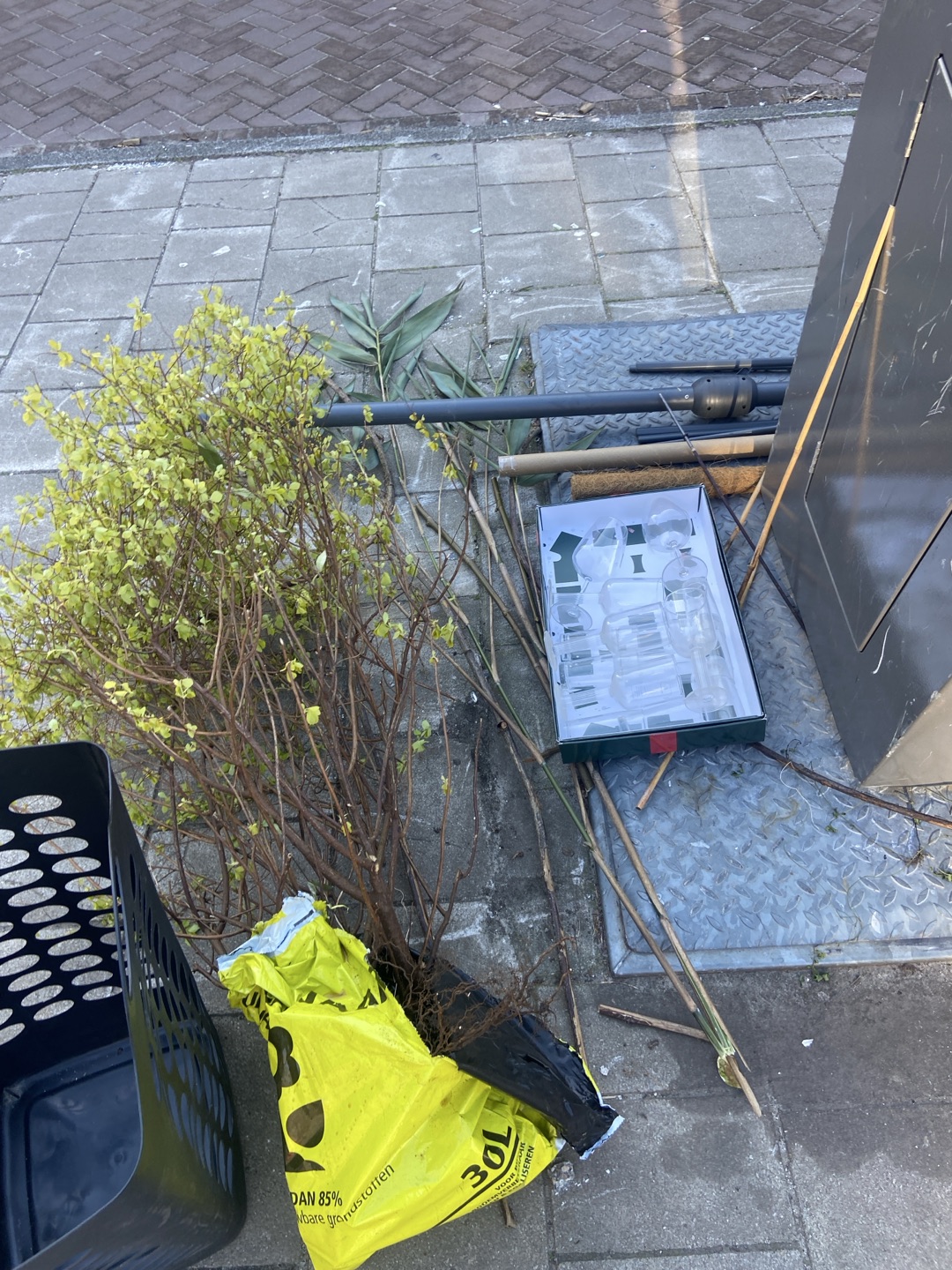 Free plant and glassware incl. Wine glasses from the brand FEST 1