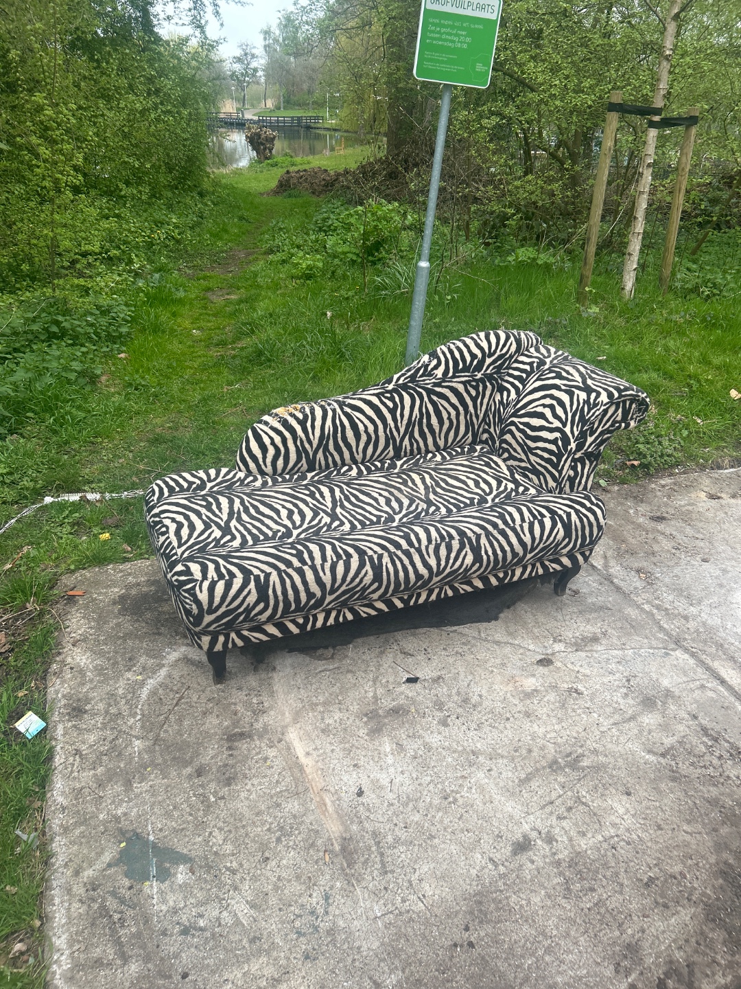 Cute sofa who needs some love 1