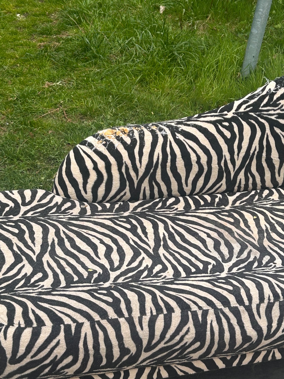 Cute sofa who needs some love 2