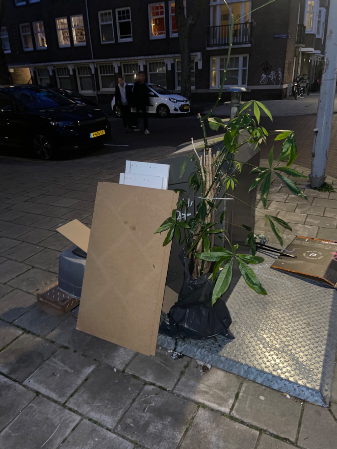 Plantje zonder pot wilt zoekt huis 1