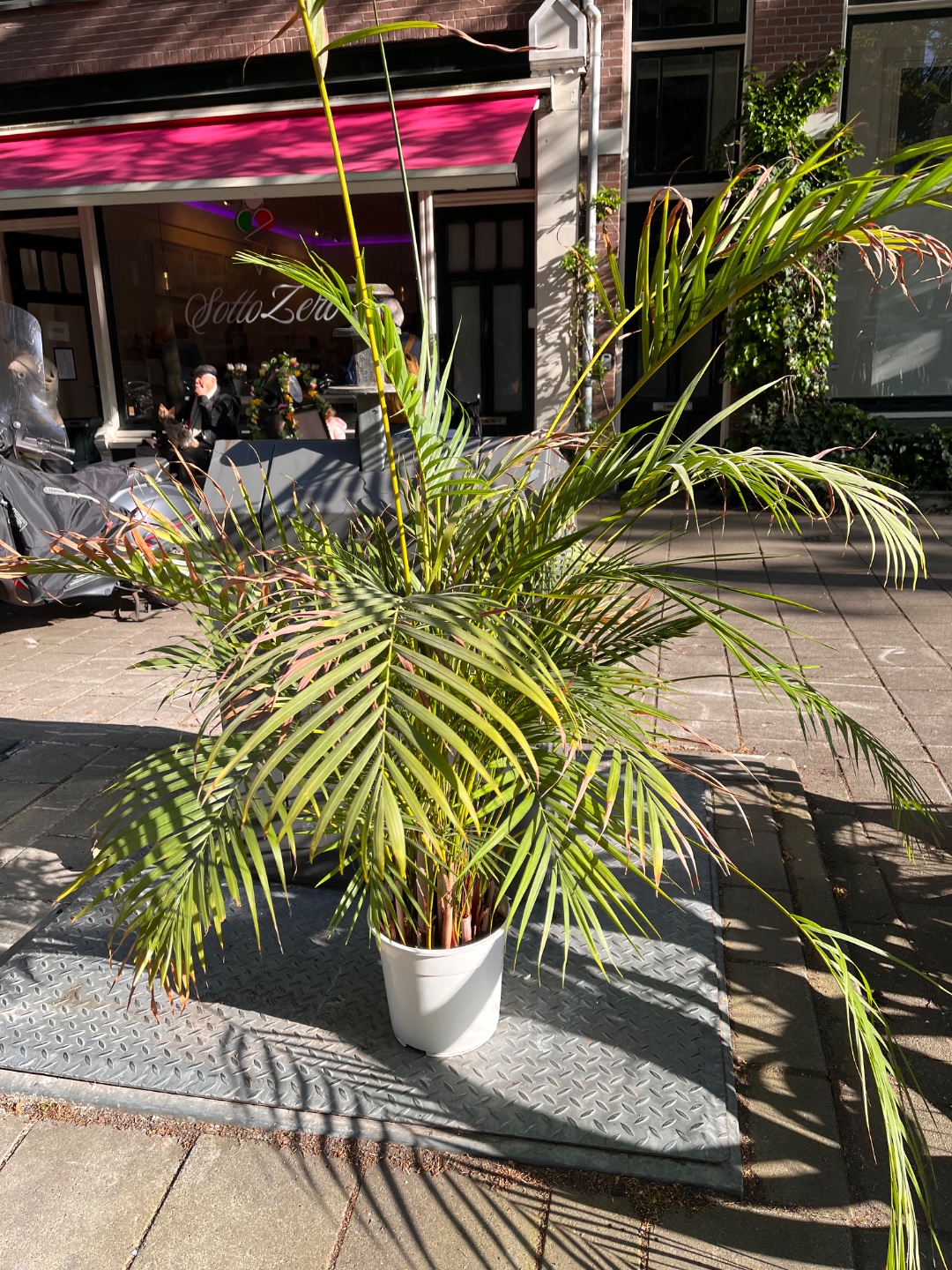 Item found on Amsterdam, West, Helmersbuurt, Bosboom Toussaintstraat 49 1