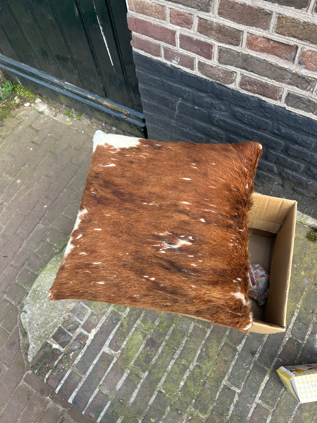 House number 61 2