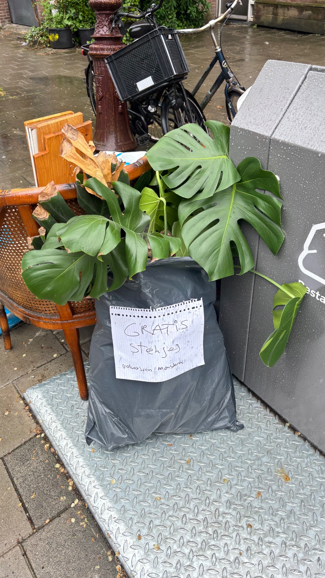 Vuilniszak vol Monstera stekjes 1