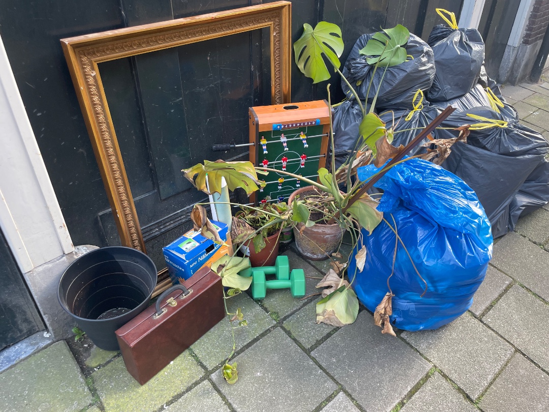 plants frame clothes 1