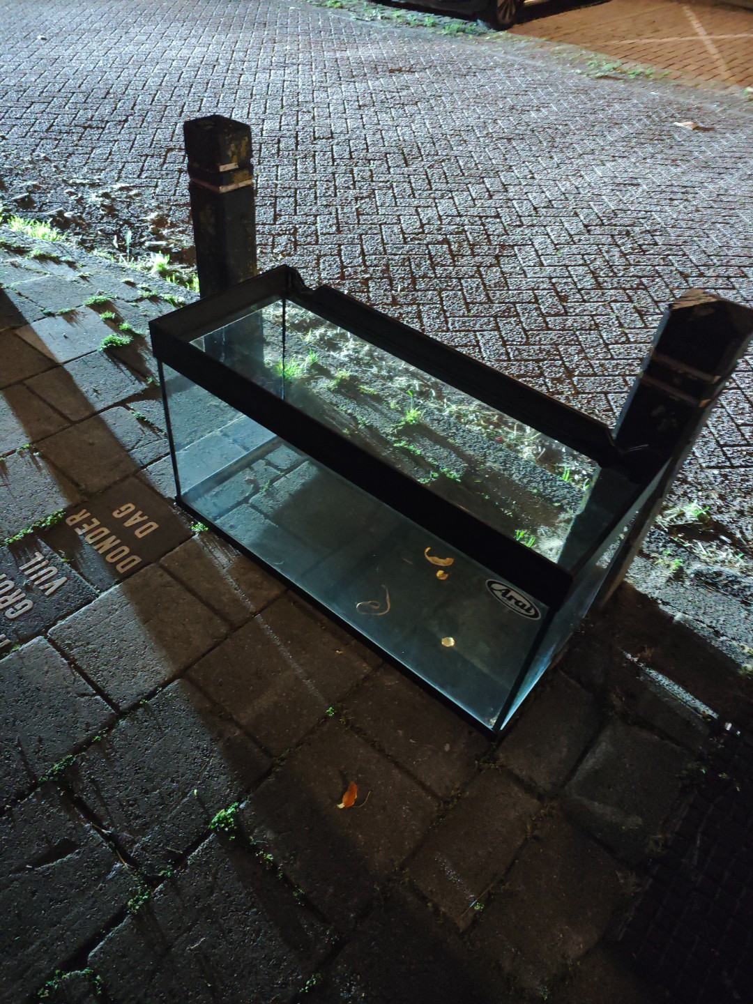Aquarium 1