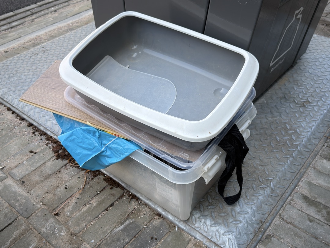 cat litter box and paper ornaments in the plastic container 1