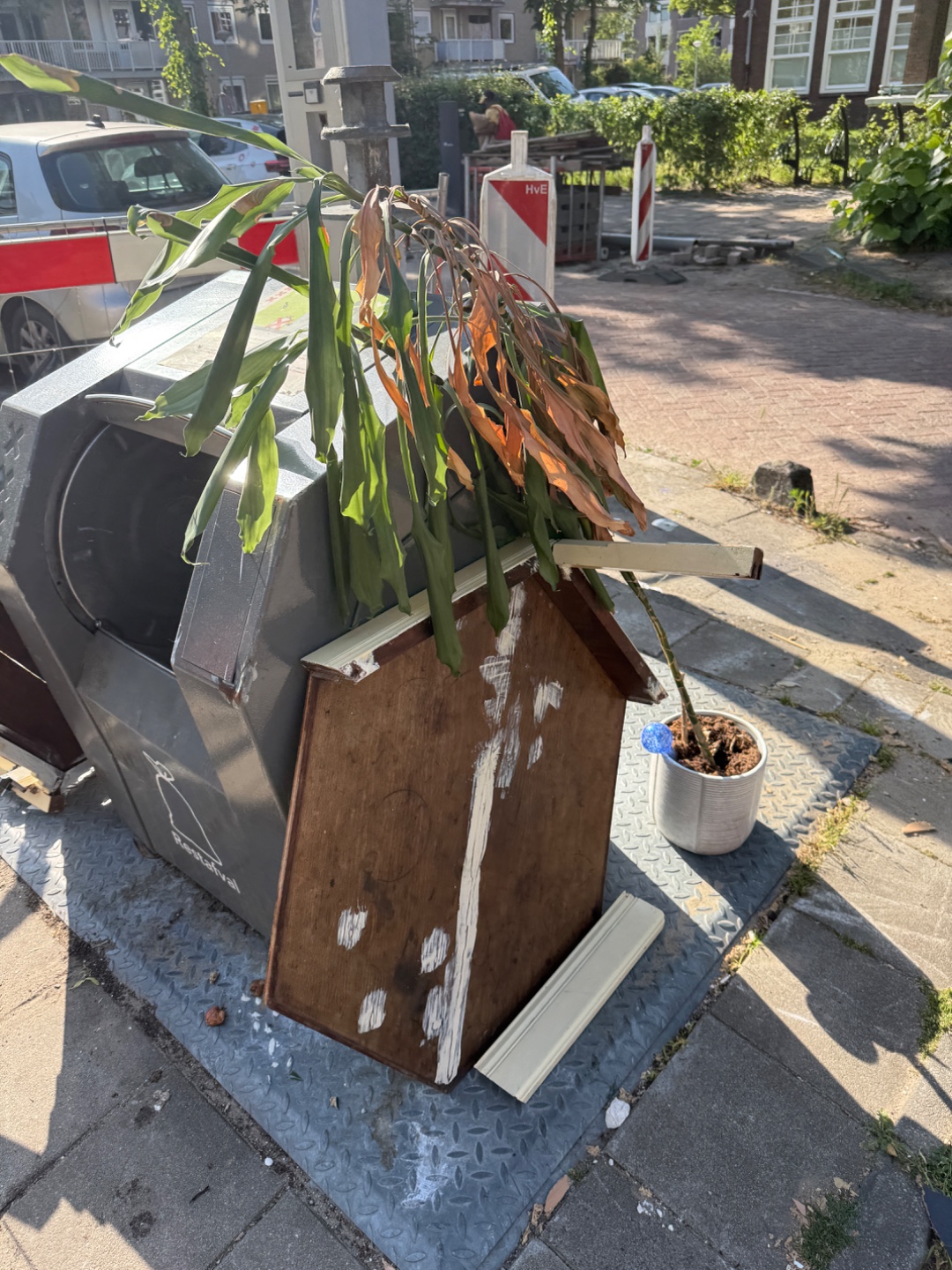 Plant, vloerkleed en een werkend nespresso apparaat 3