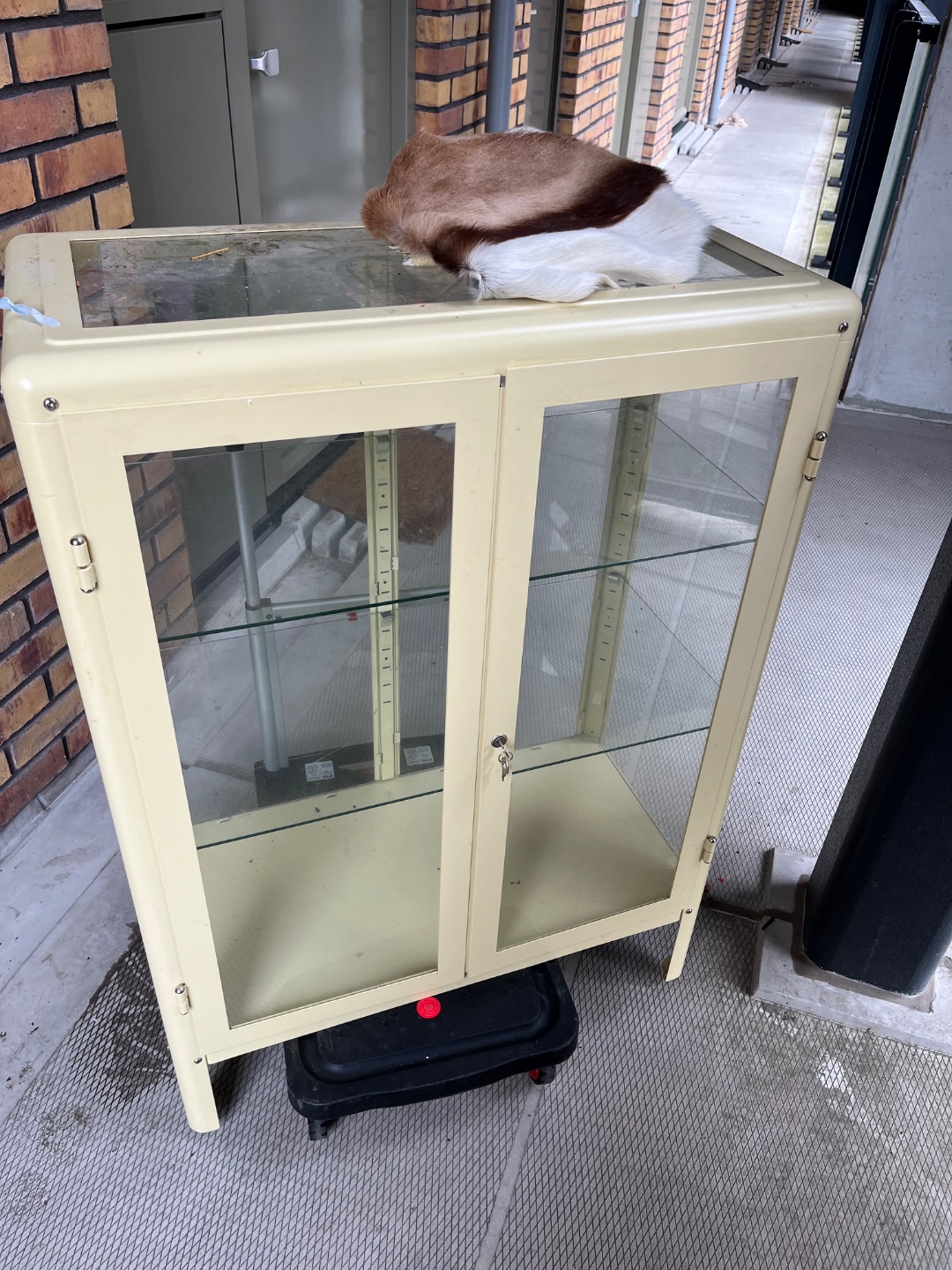 Item found on Amsterdam, Noord, Ludovicus Imminkpad 1 2