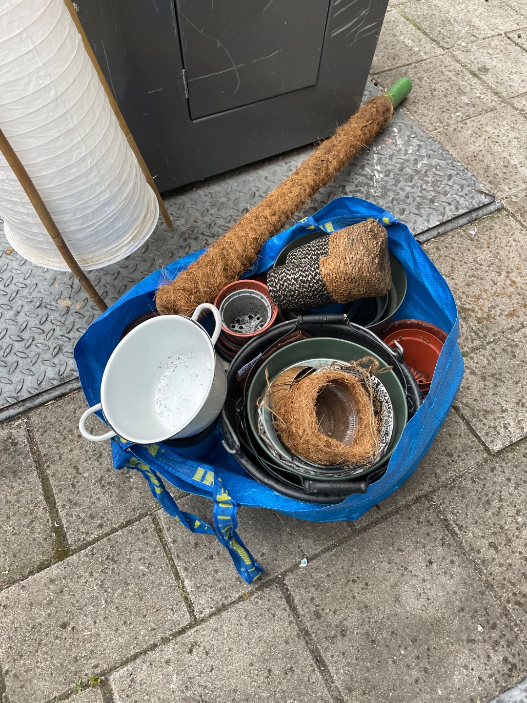lots of plant pots 1