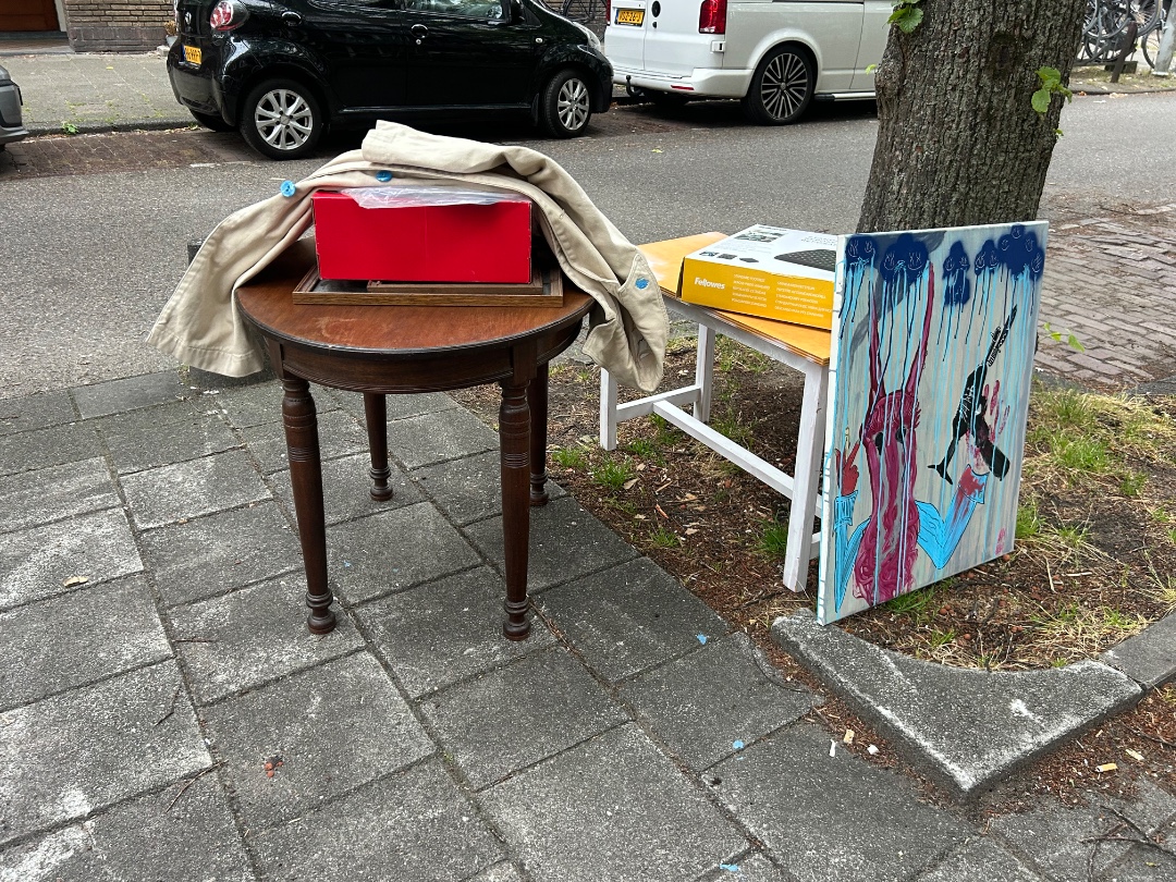 Item found on Amsterdam, Erasmuspark, Esmoreitstraat 57 1
