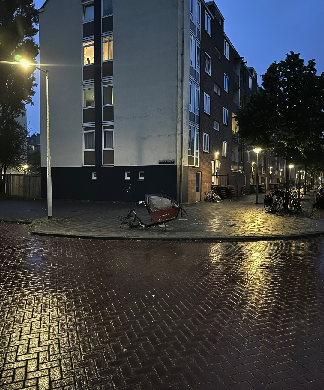 What’s left of a Bakfiets 2