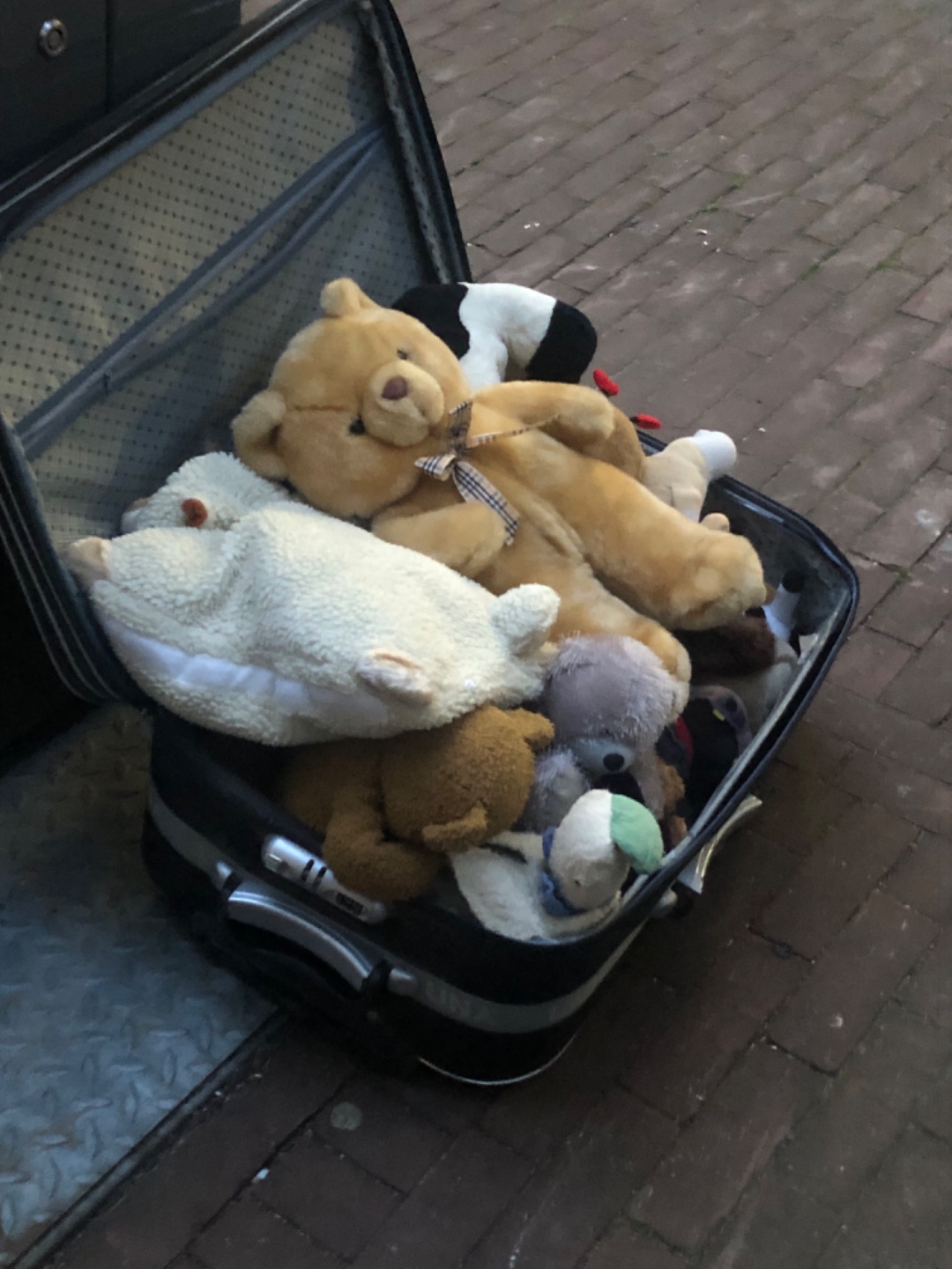 Hele koffer vol knuffels.  🧸