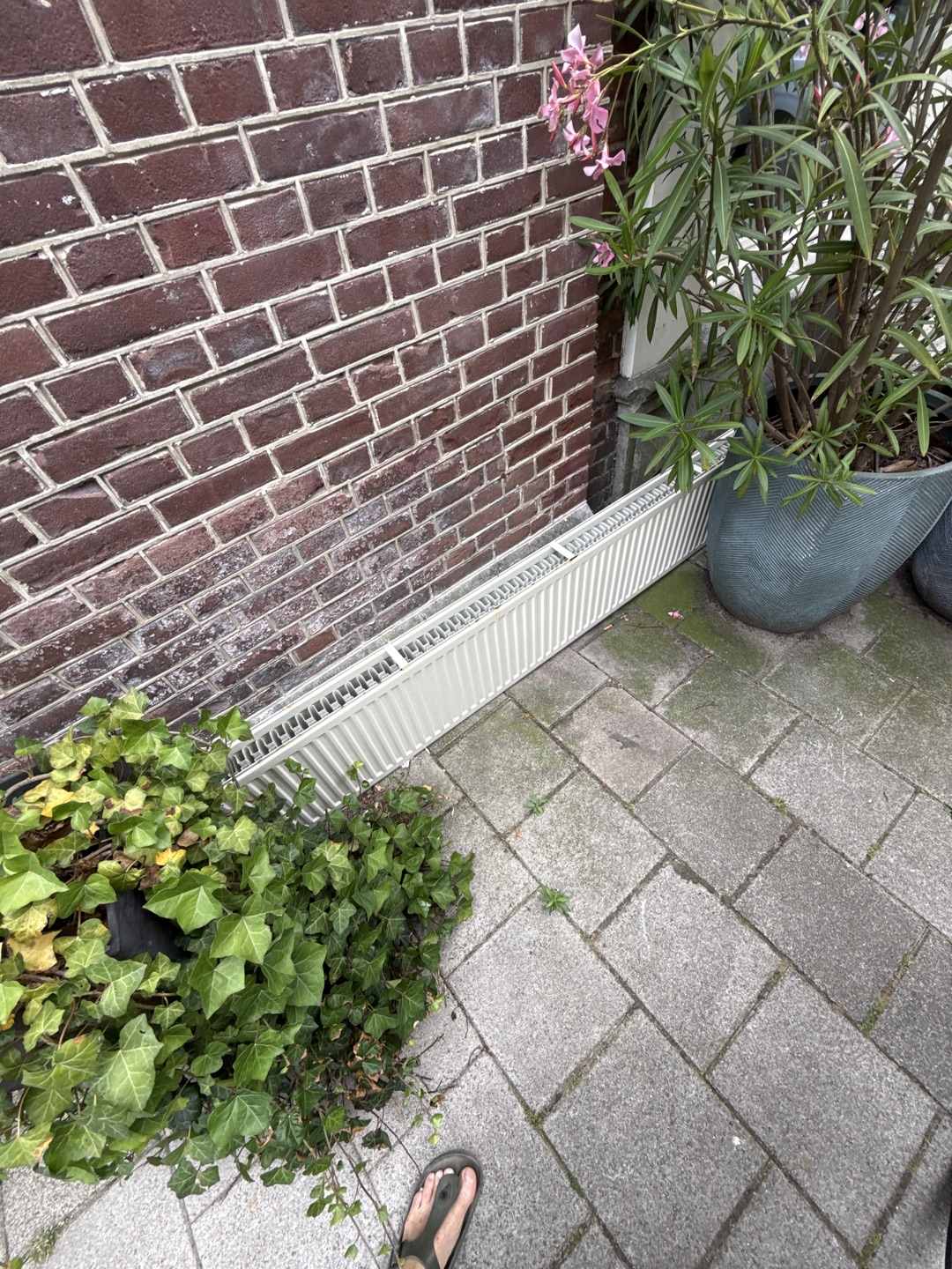 Radiator 223x40 type 22 1