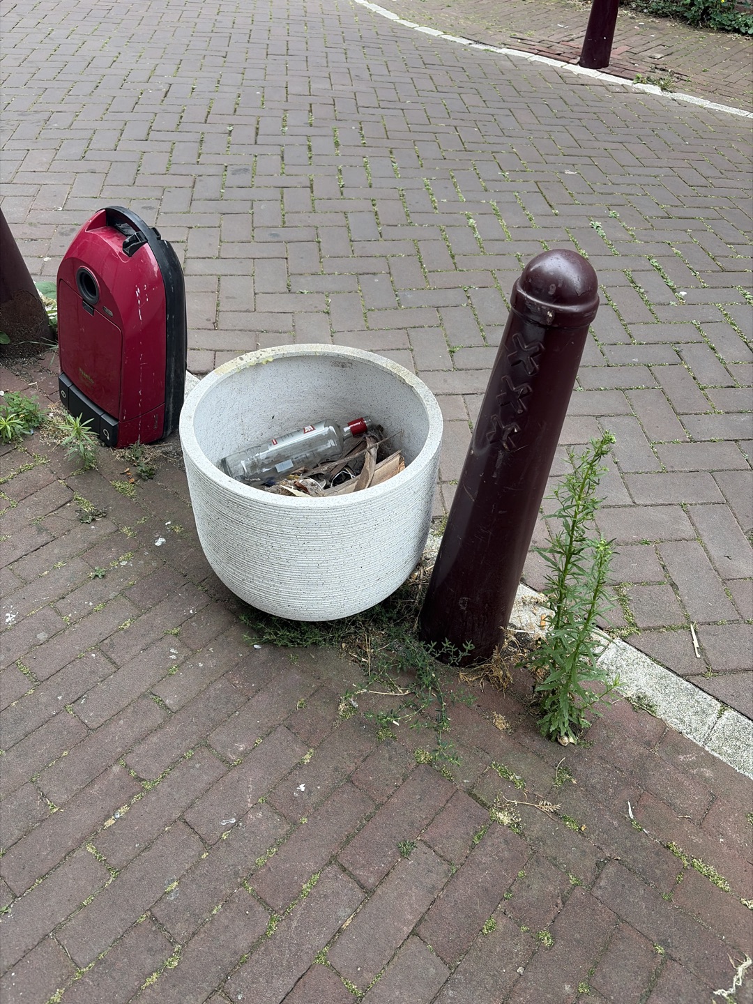Planter 1