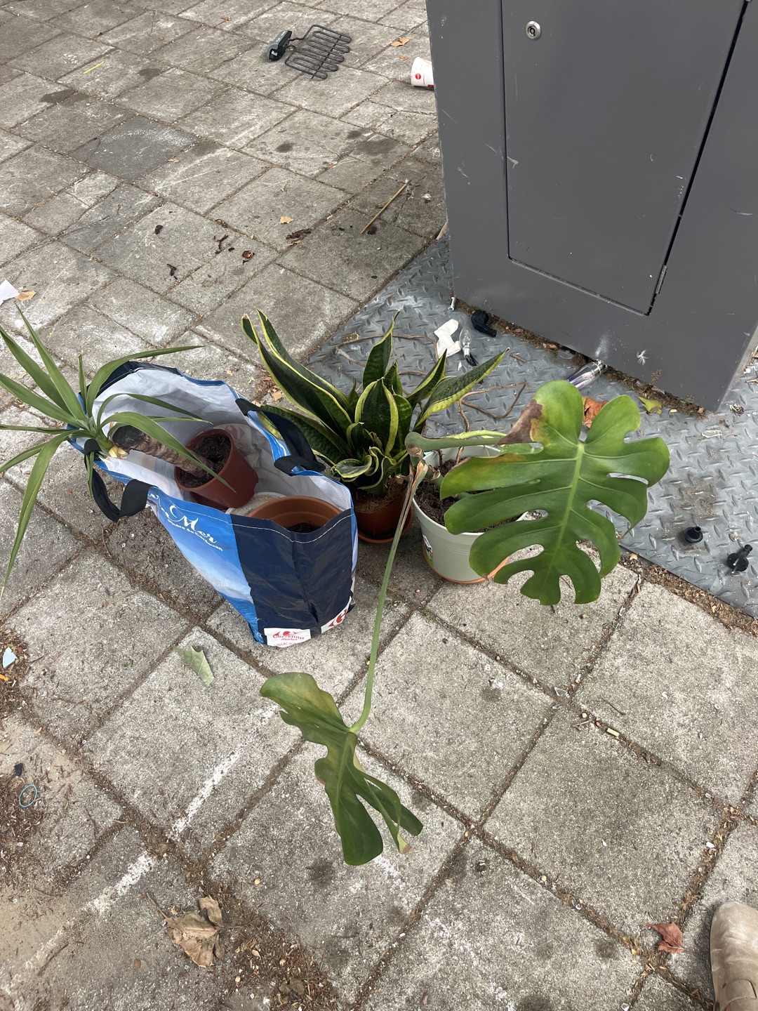 Planten + potten 1